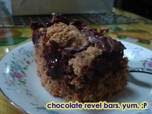 Chocolate Revel Bars