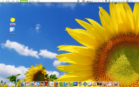 Summer Desktop!